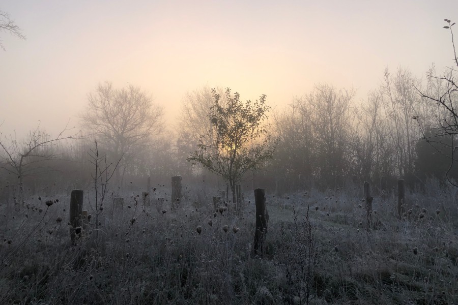 Der Morgen nach einer Raunacht bei aufgehender Sonne (c) Jes-Peter Hansen