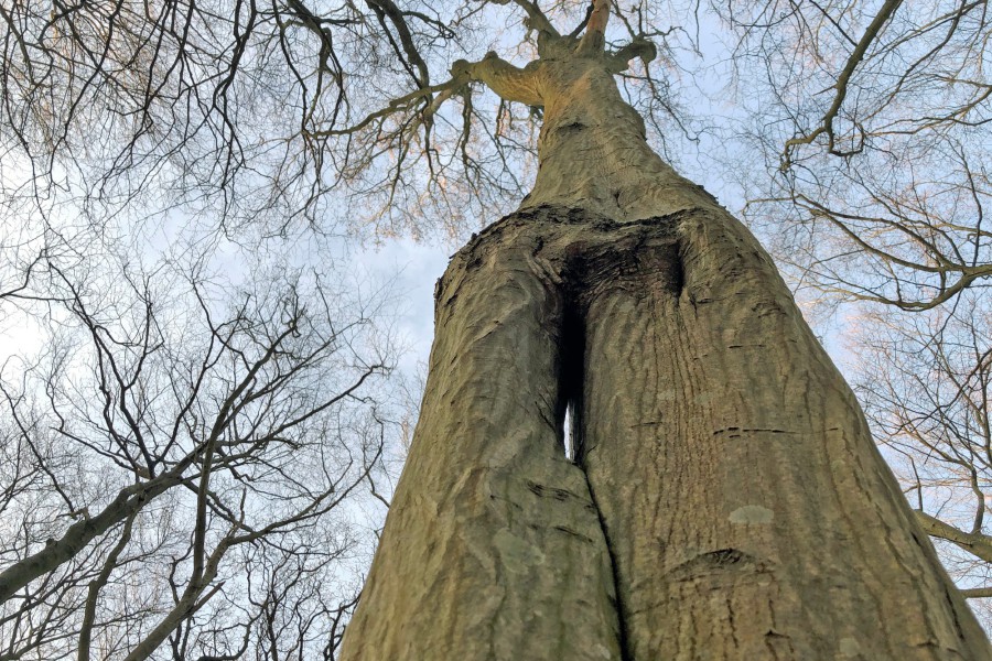zusammen in den Himmel - ein starkes Team (c) Jes-Peter Hansen